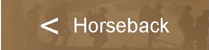 Horseback bachward